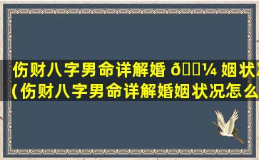 伤财八字男命详解婚 🐼 姻状况（伤财八字男命详解婚姻状况怎么看）